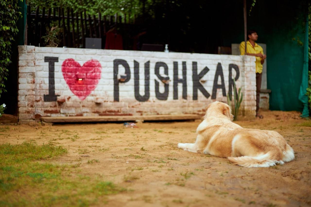 The Hostel Air Pushkar Luaran gambar